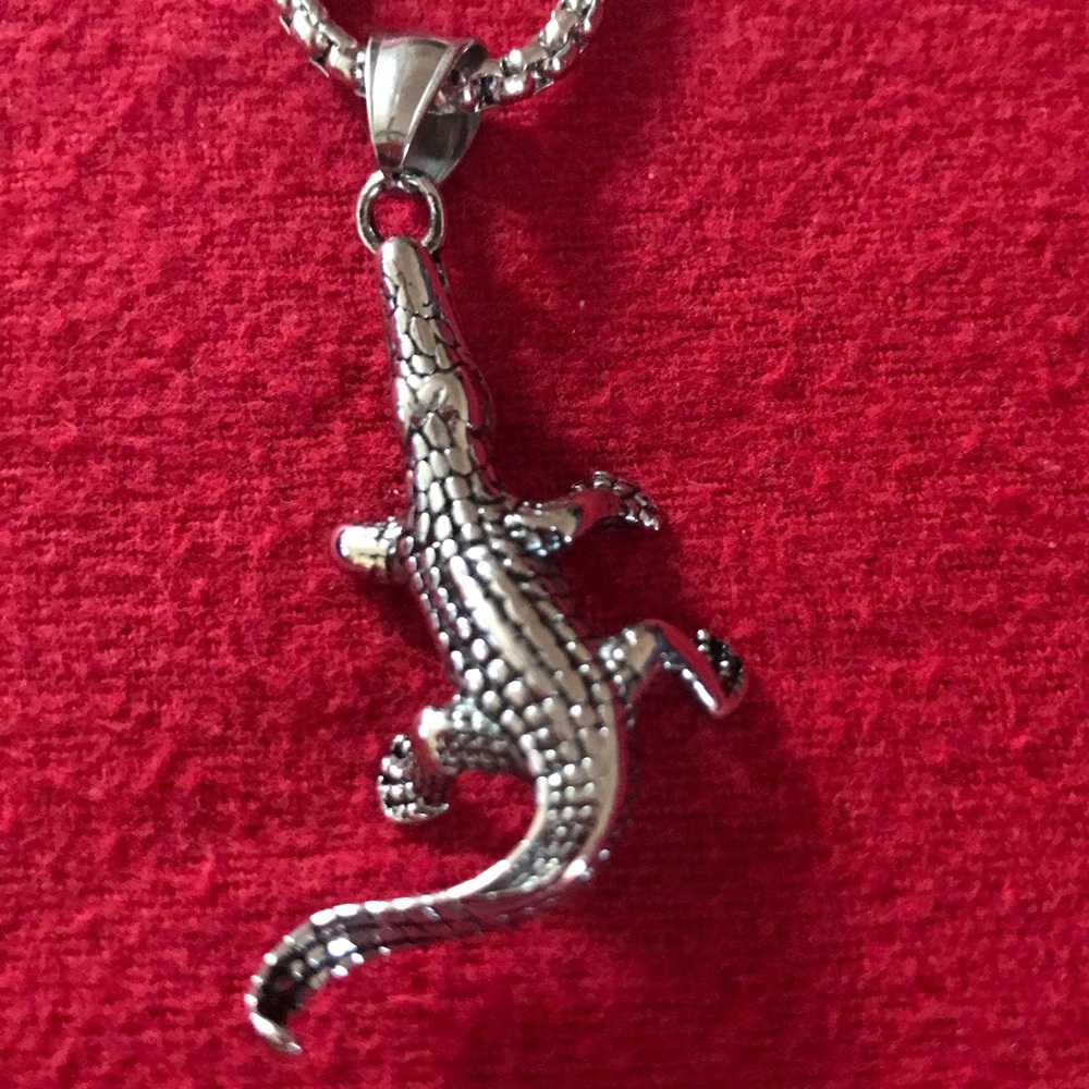 ALLIGATOR - Picture 2 of 5